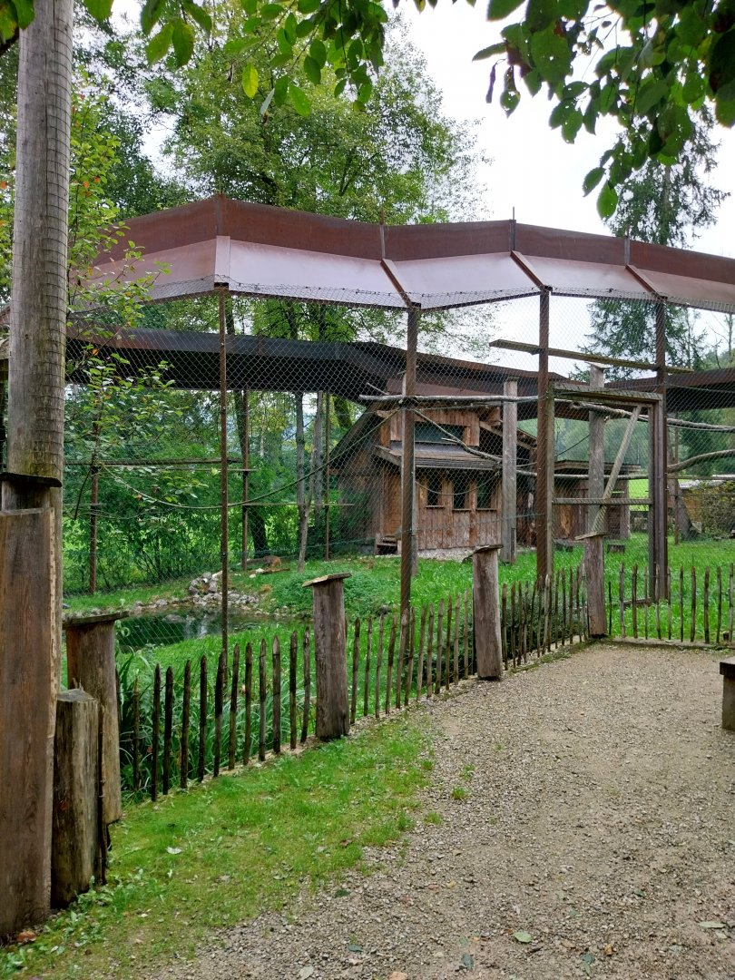 Ebbs Raritätenzoo - Rhesus macaque enclosure