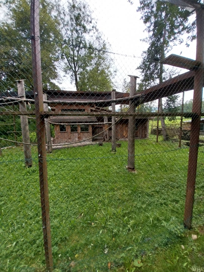Ebbs Raritätenzoo - Rhesus macaque enclosure