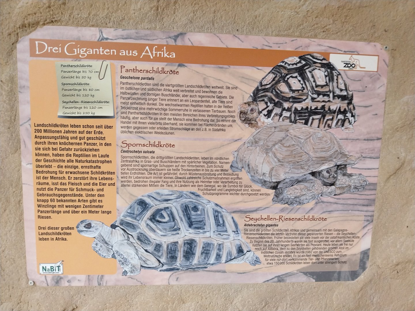 Ebbs Raritätenzoo - Ringtailed lemur house & African giant tortoises house - Sign