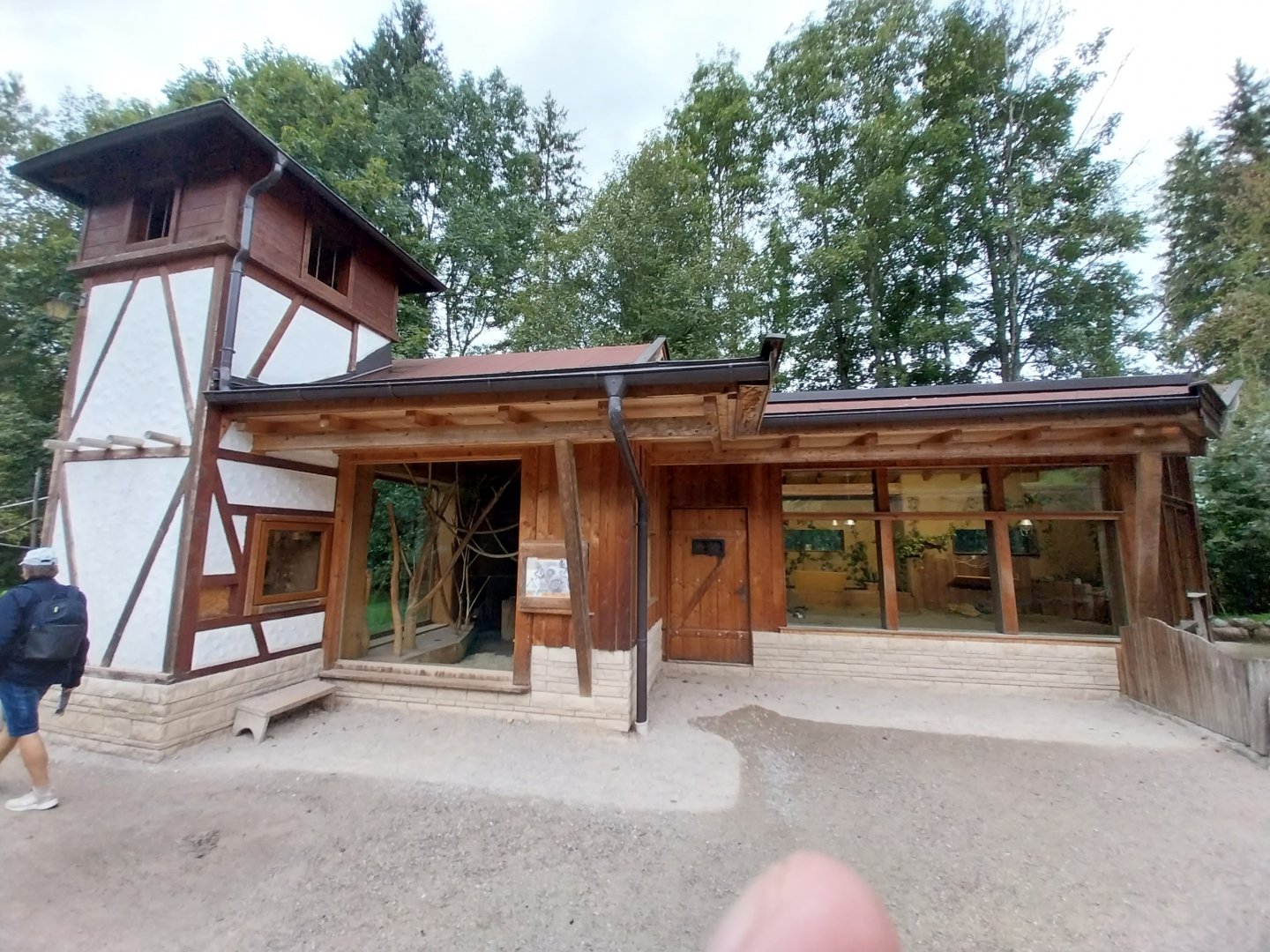 Ebbs Raritätenzoo - Ringtailed lemur house & African giant tortoises house