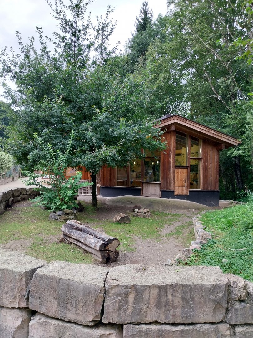 Ebbs Raritätenzoo - Ringtailed lemur house & African giant tortoises house