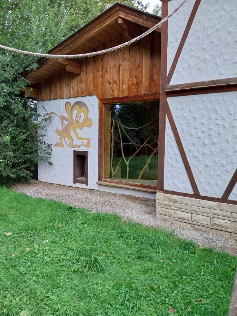 Ebbs Raritätenzoo - Ringtailed lemur house