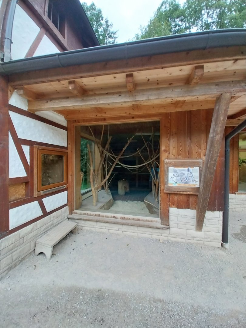 Ebbs Raritätenzoo - Ringtailed lemur house