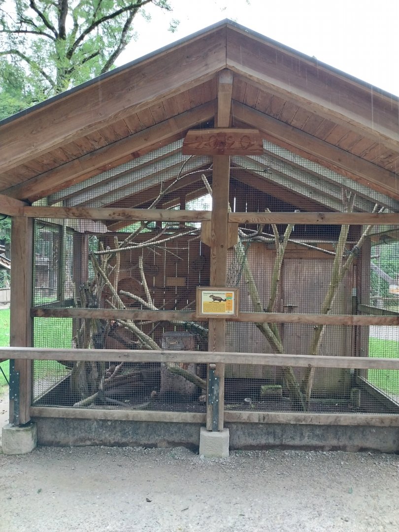 Ebbs Raritätenzoo - Swinhoe striped squirrel enclosure