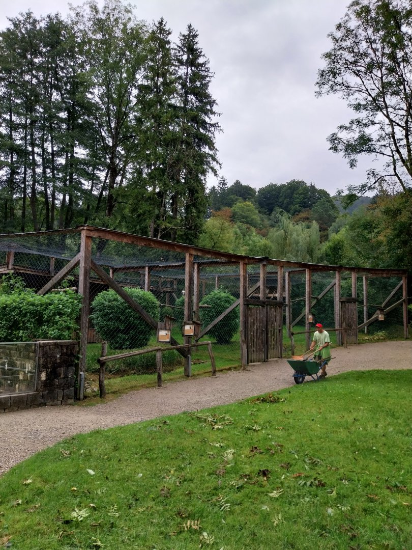 Ebbs Raritätenzoo - Vulture aviaries