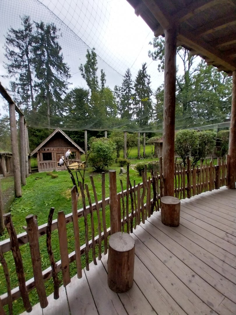 Ebbs Raritätenzoo - Yellow-billed stork aviary