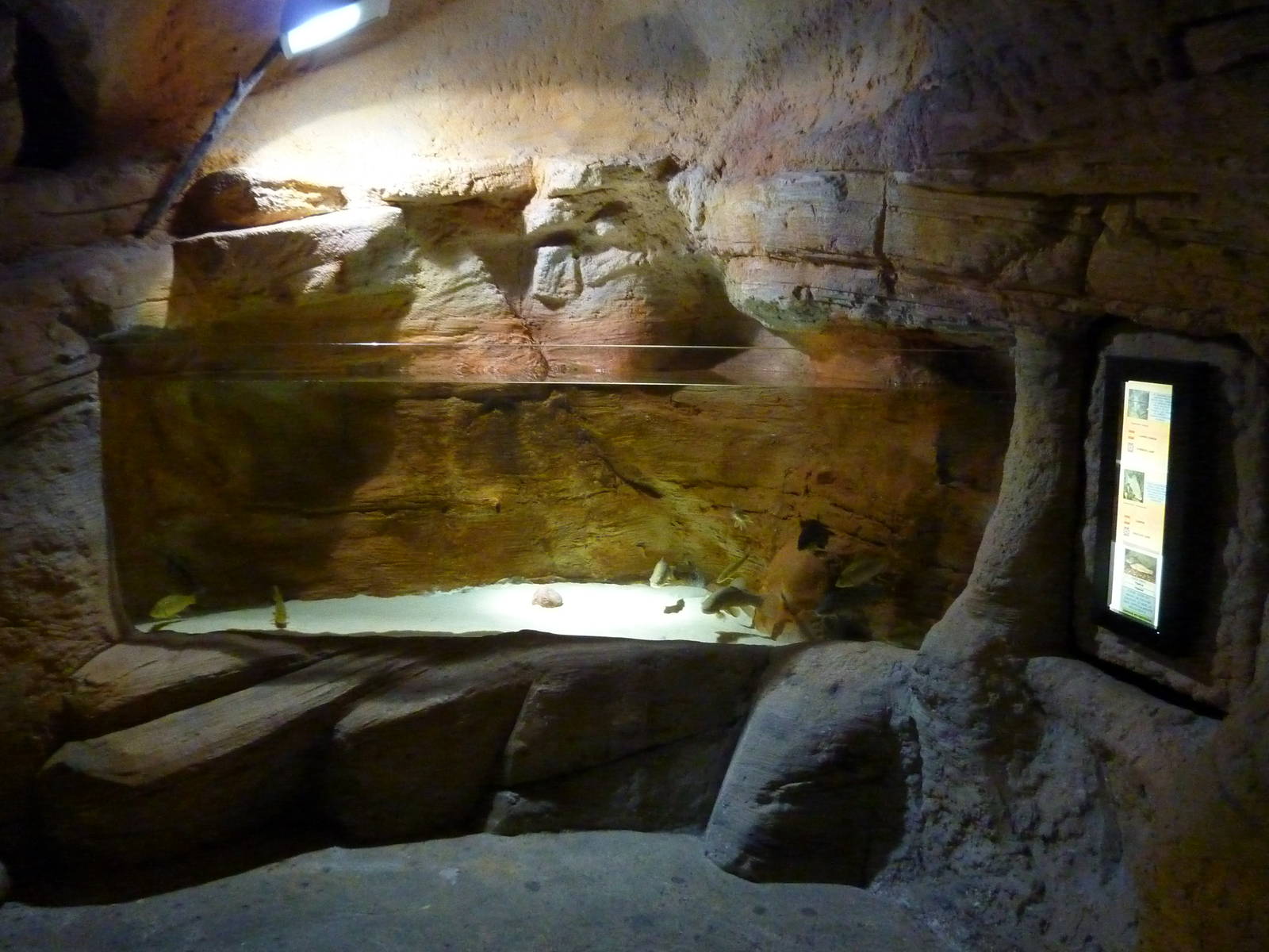 Ebro carp tank, 10th April 2012