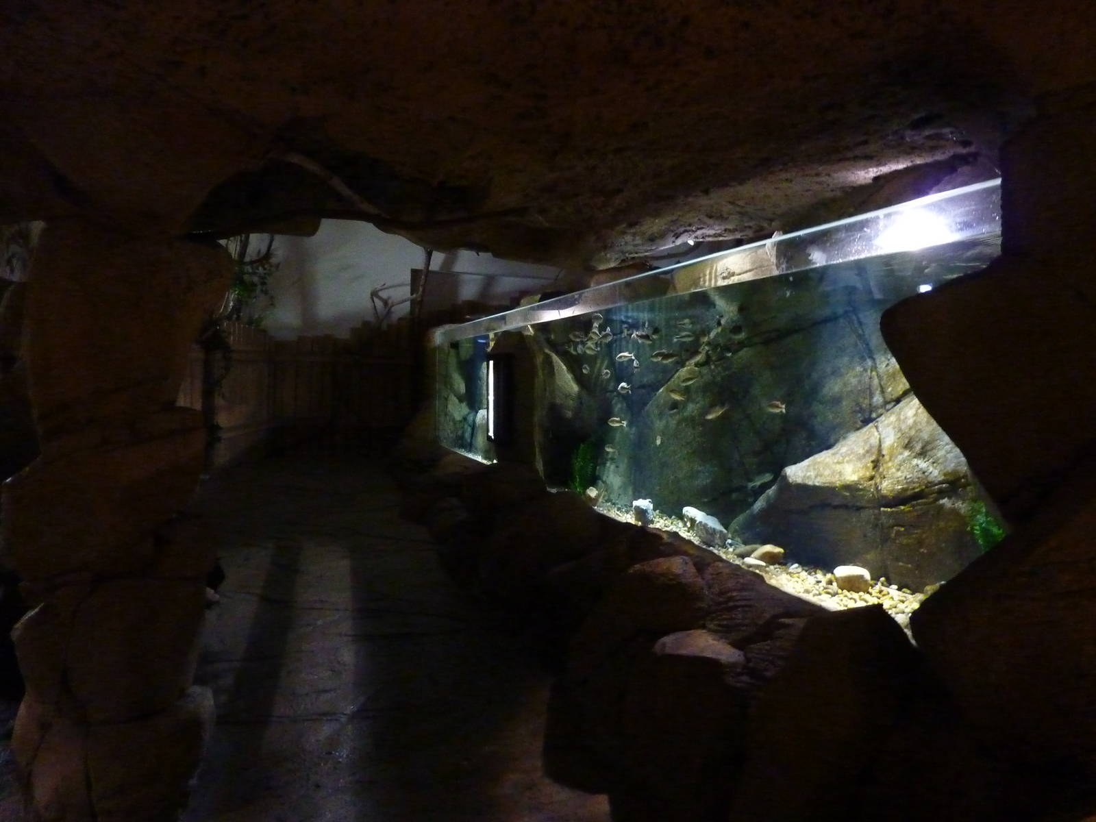 Ebro freshwater tank, 10th April 2012