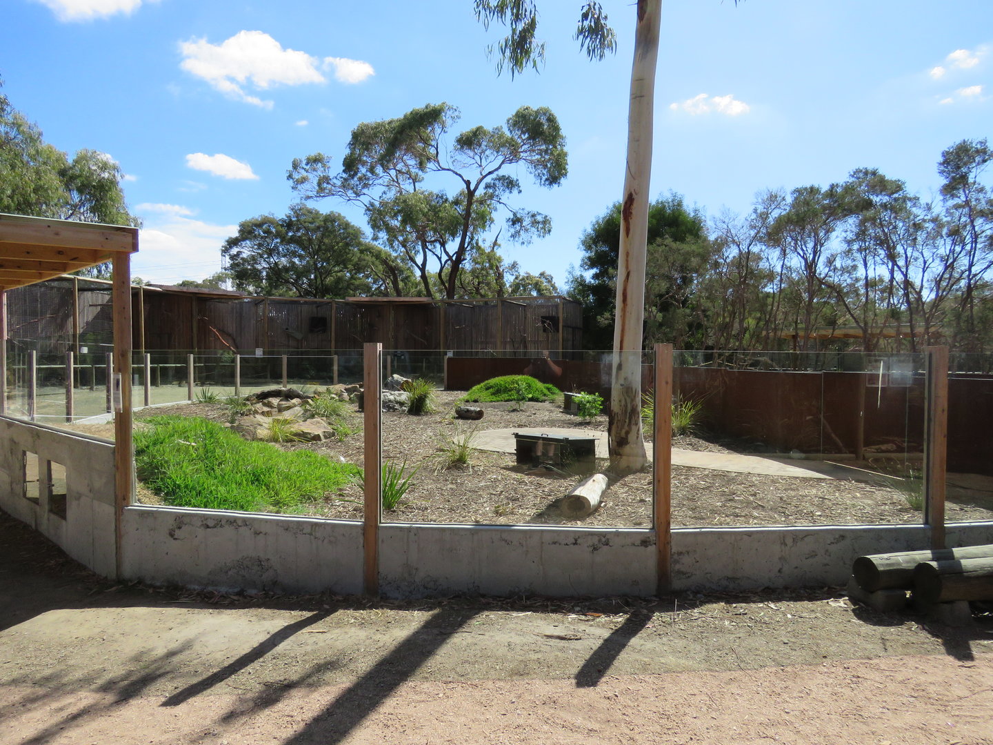 Echidna and Greater Bilby Mixed Habitat
