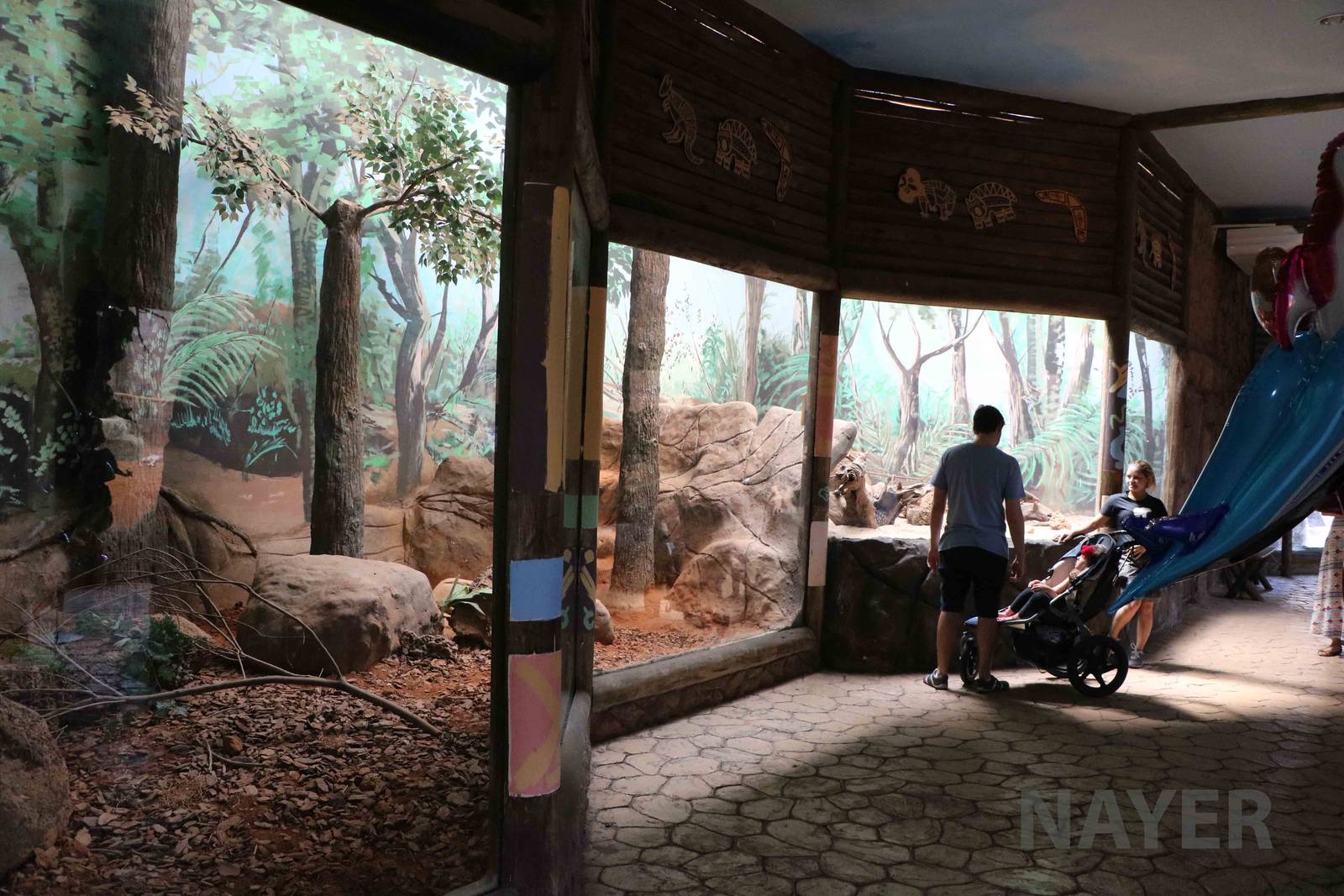 Echidna enclosure, April 2016