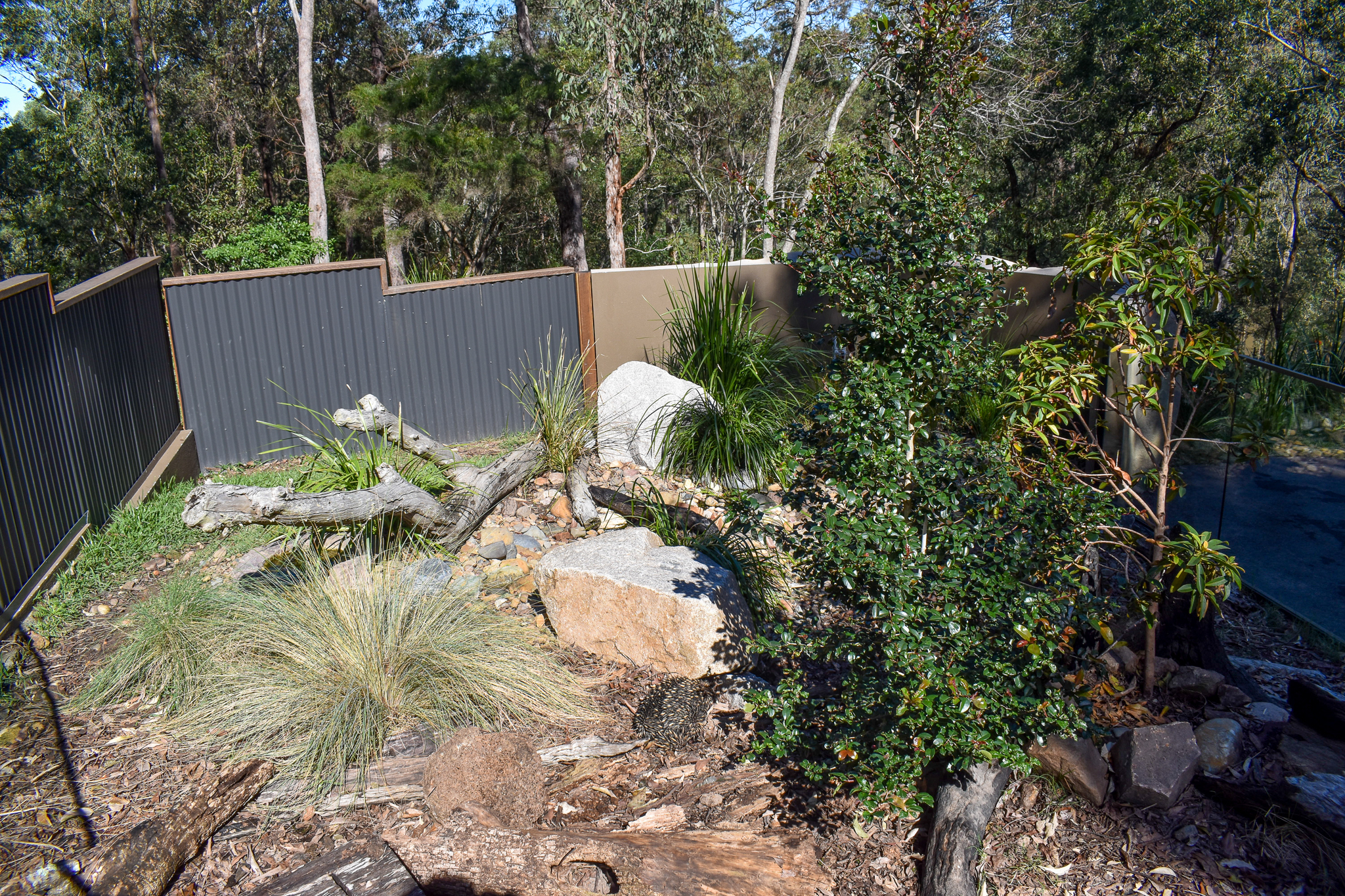 Echidna Enclosure