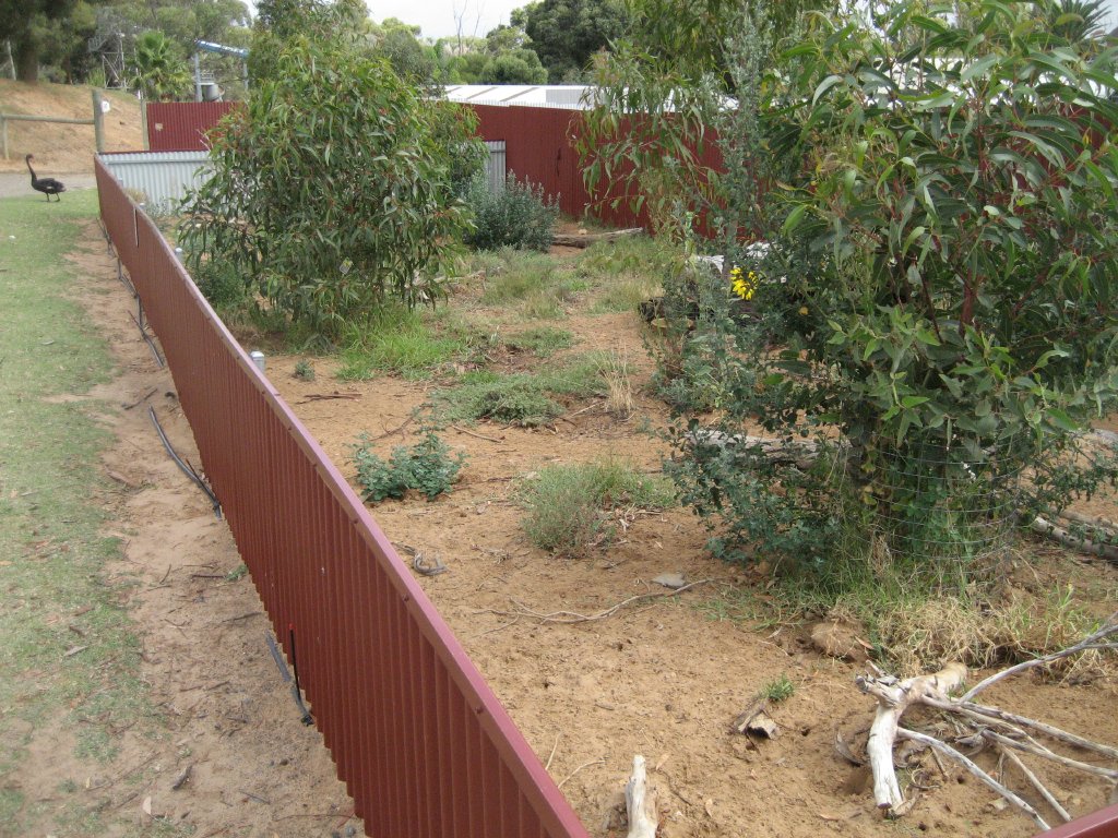 Echidna enclosure