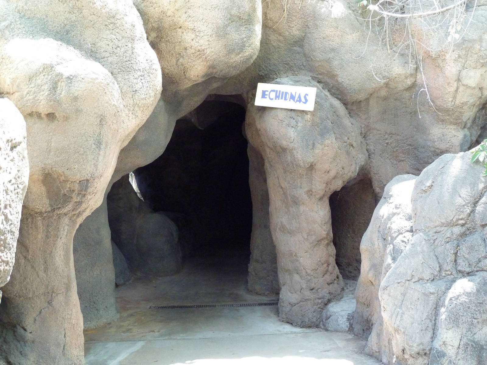 Echidna Exhibit - Entrance Cave