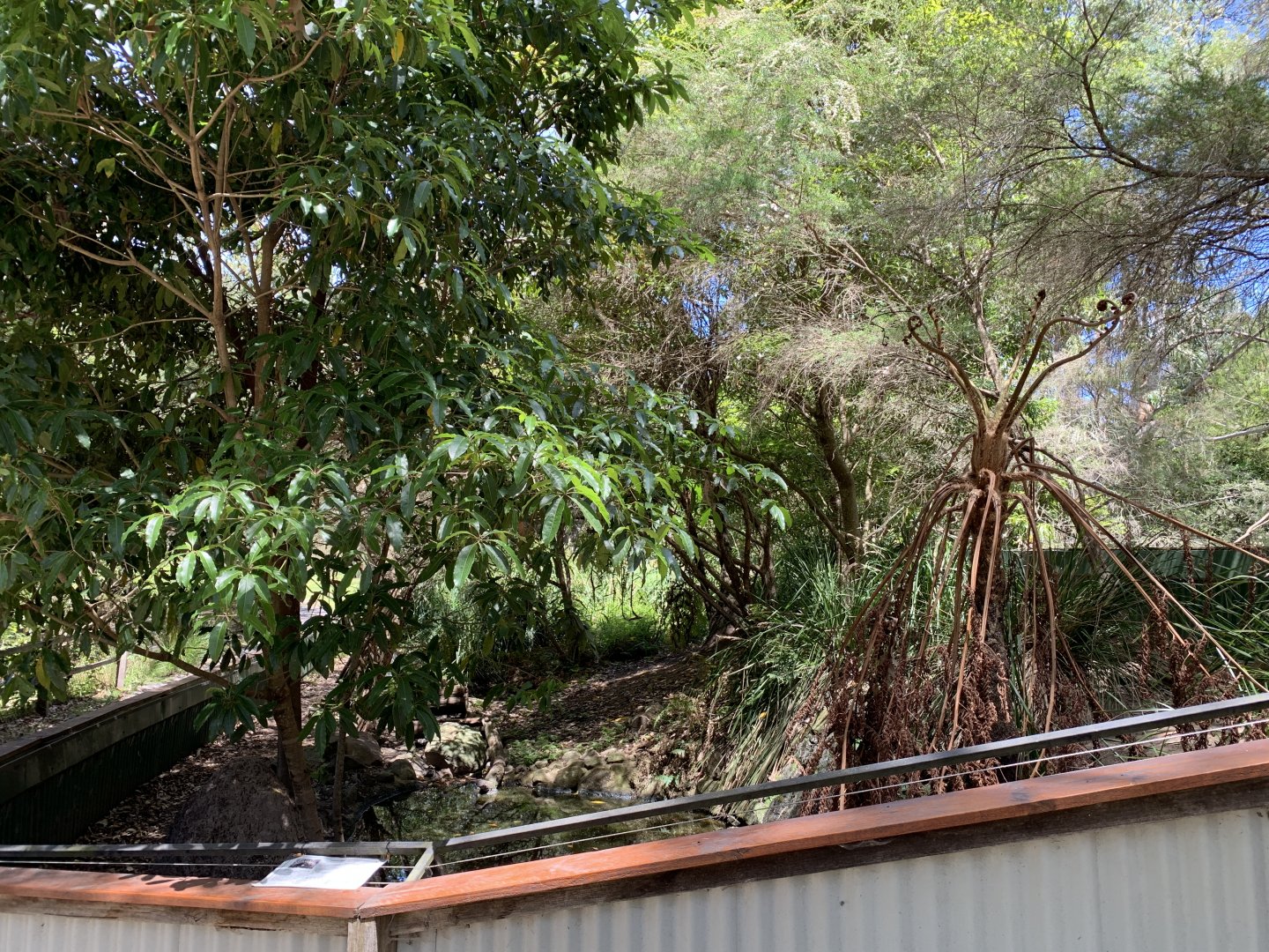 Echidna Exhibit (Potoroo Palace)