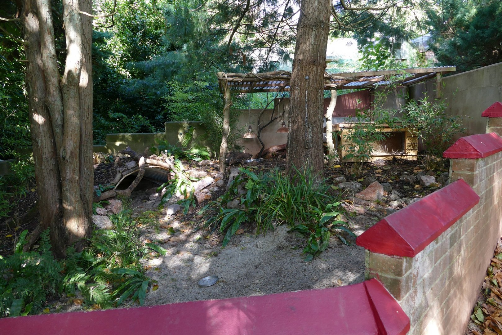 Echidna exhibit, September 2018