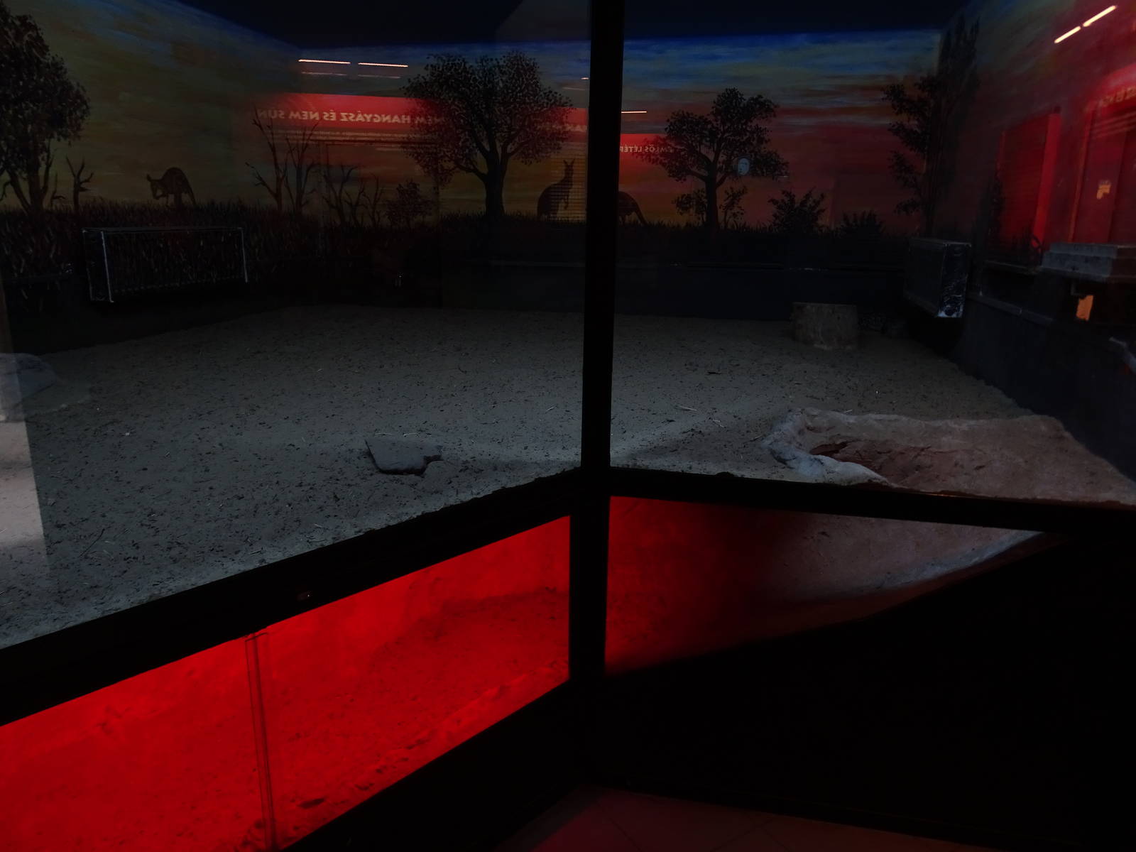 Echidna indoor enclosure