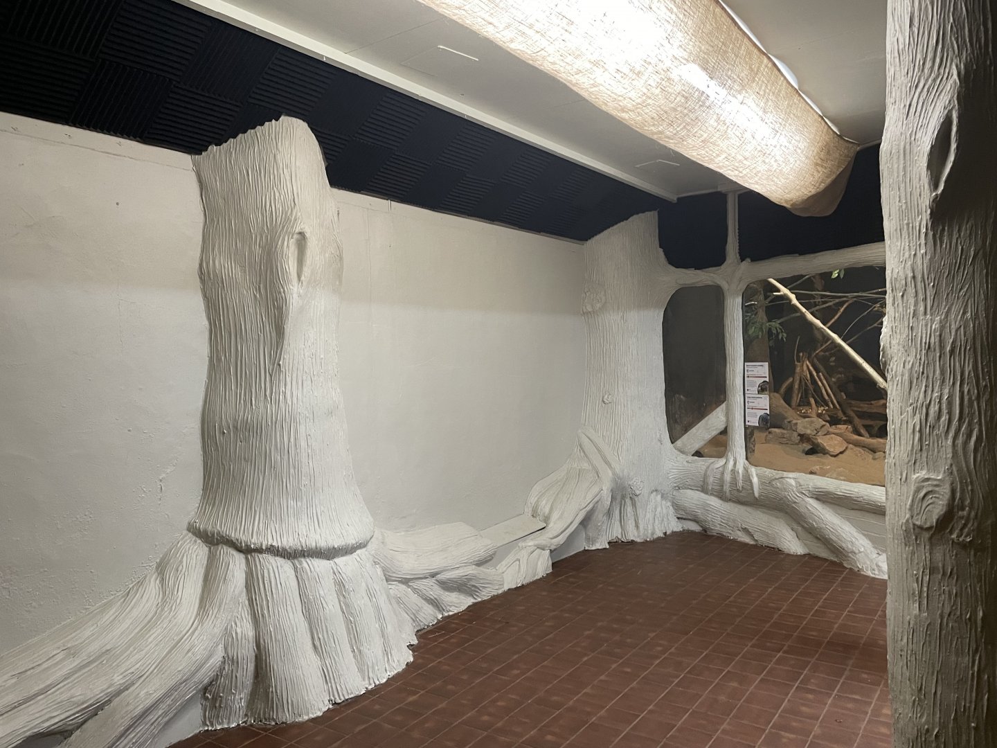 Echidna/Nocturnal House (1)