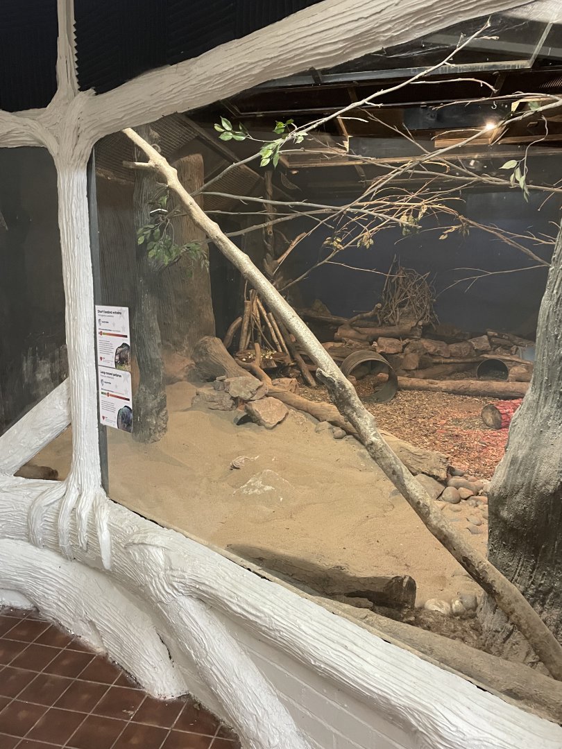 Echidna/Nocturnal House (2)