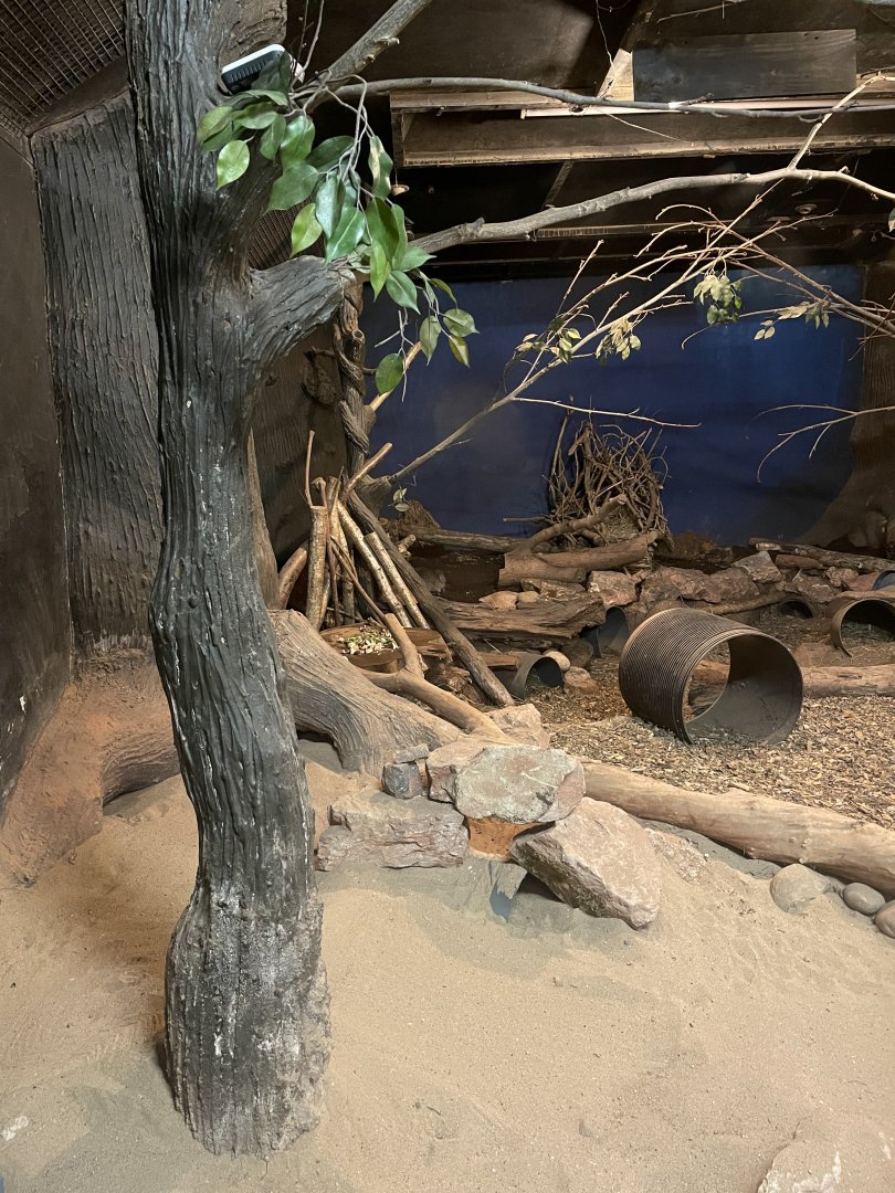 Echidna/Nocturnal House (4)