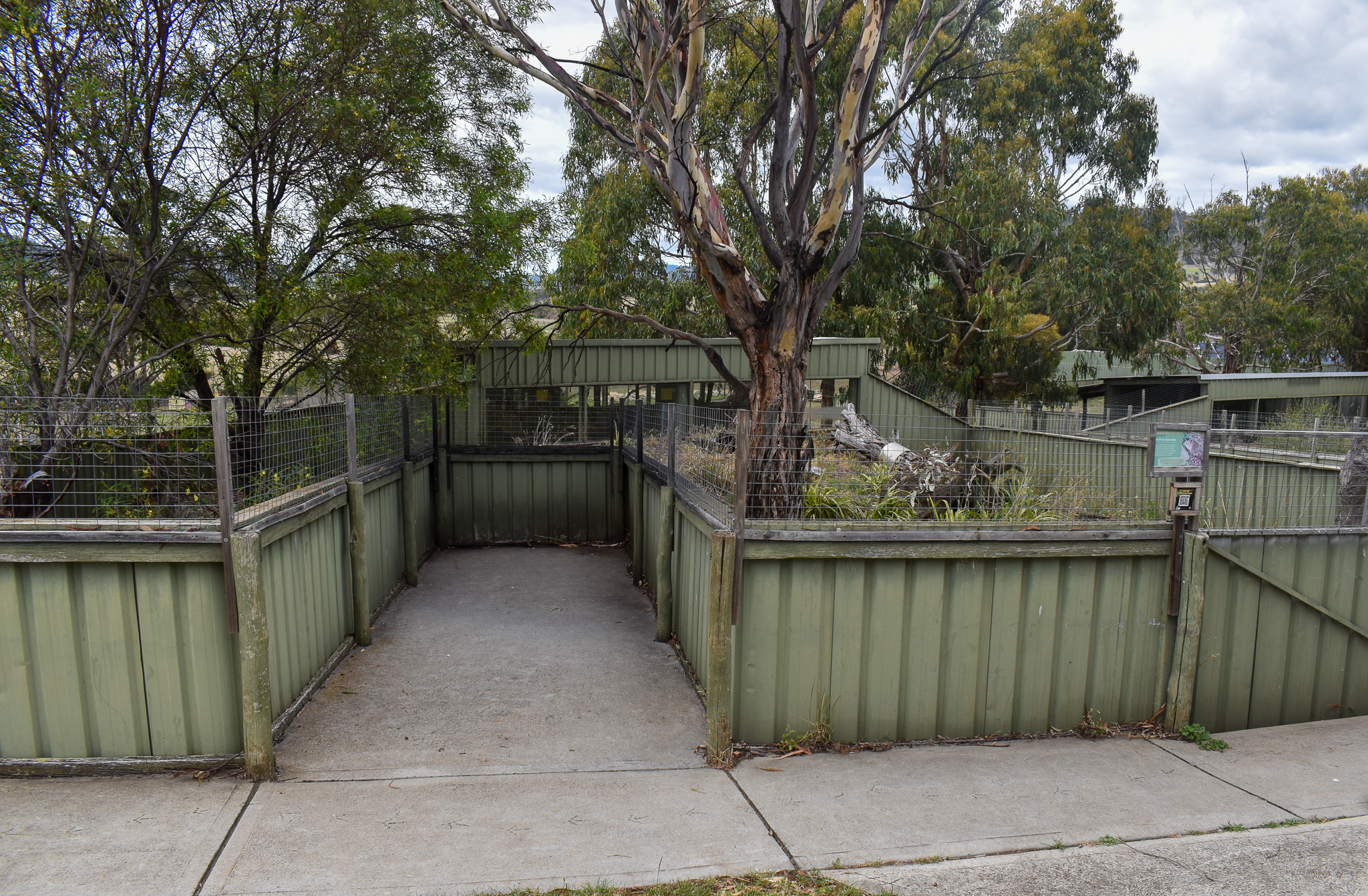 Echidna/Potoroo enclosure