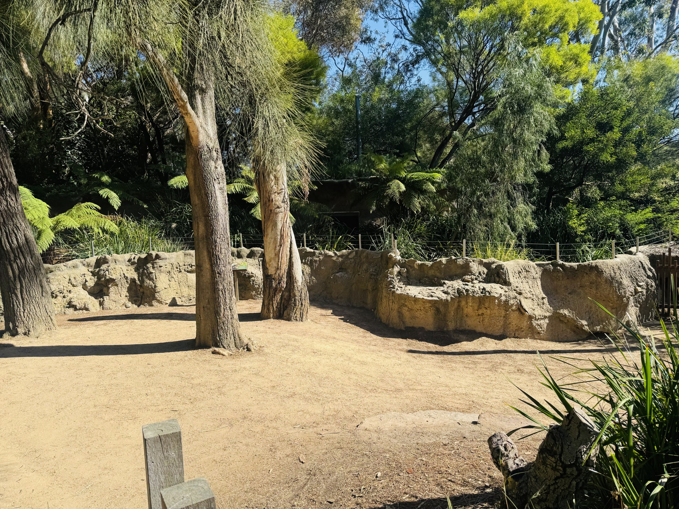 Echidna/potoroo enclosure
