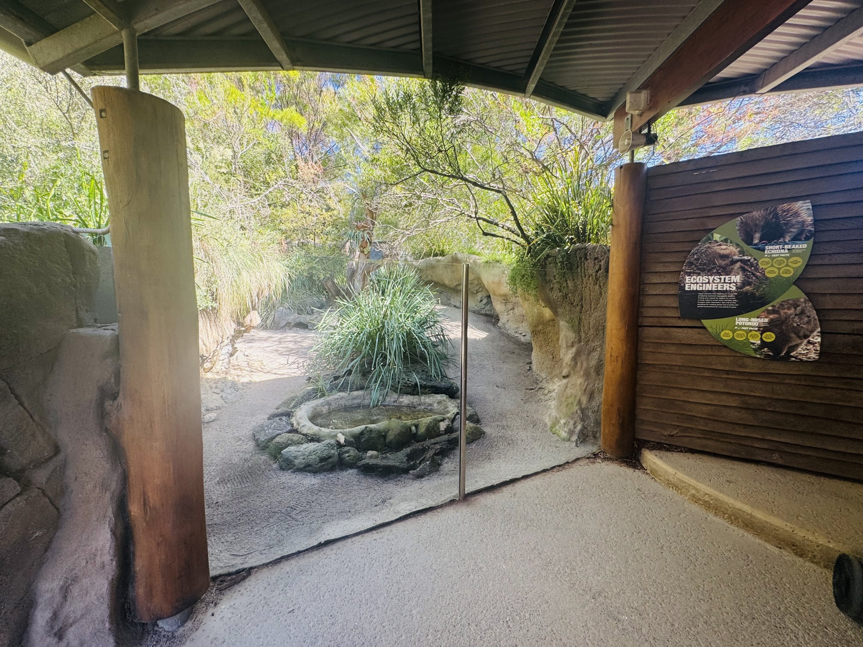 Echidna/potoroo enclosure