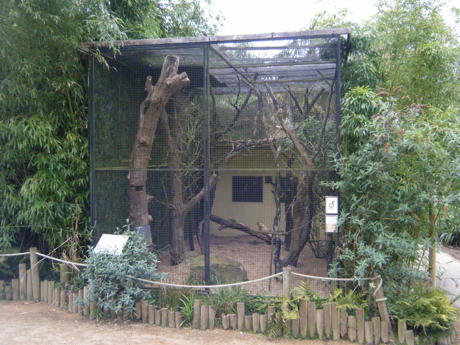 Echo Parakeet Aviary