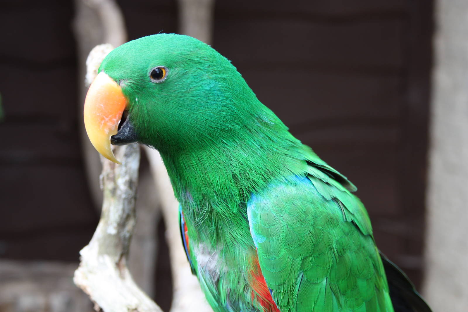 Eckie, 11th July 2014