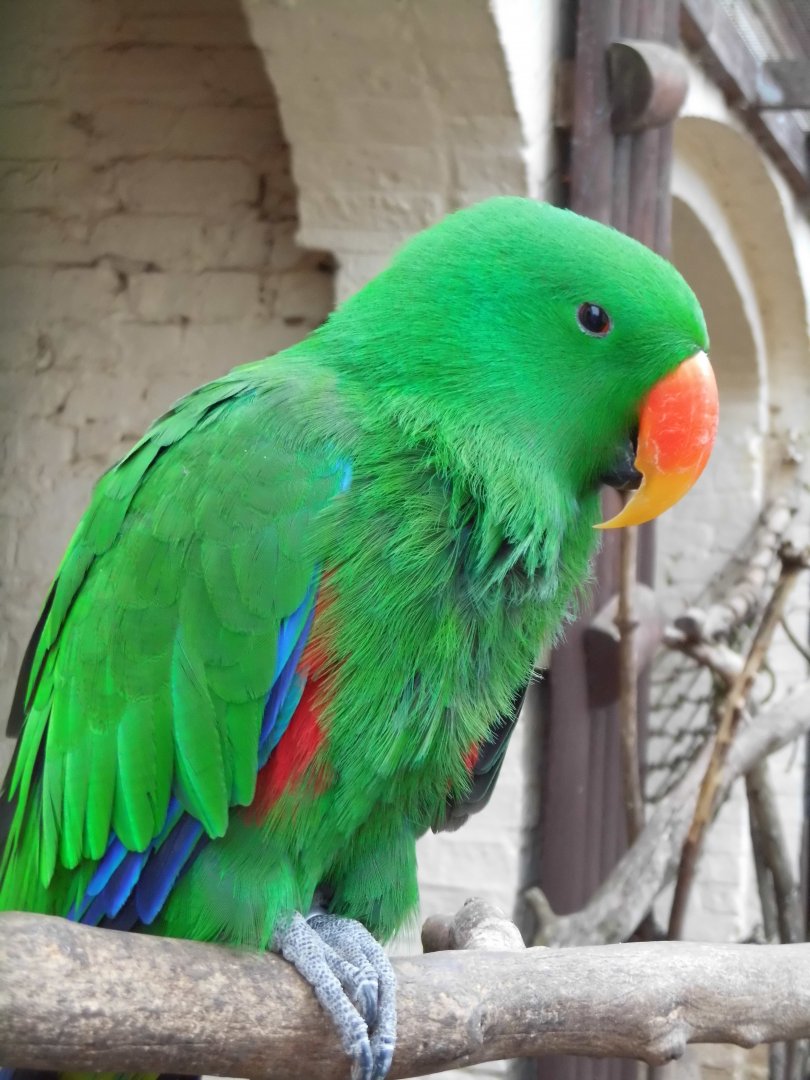 Eckie, 16th October 2025