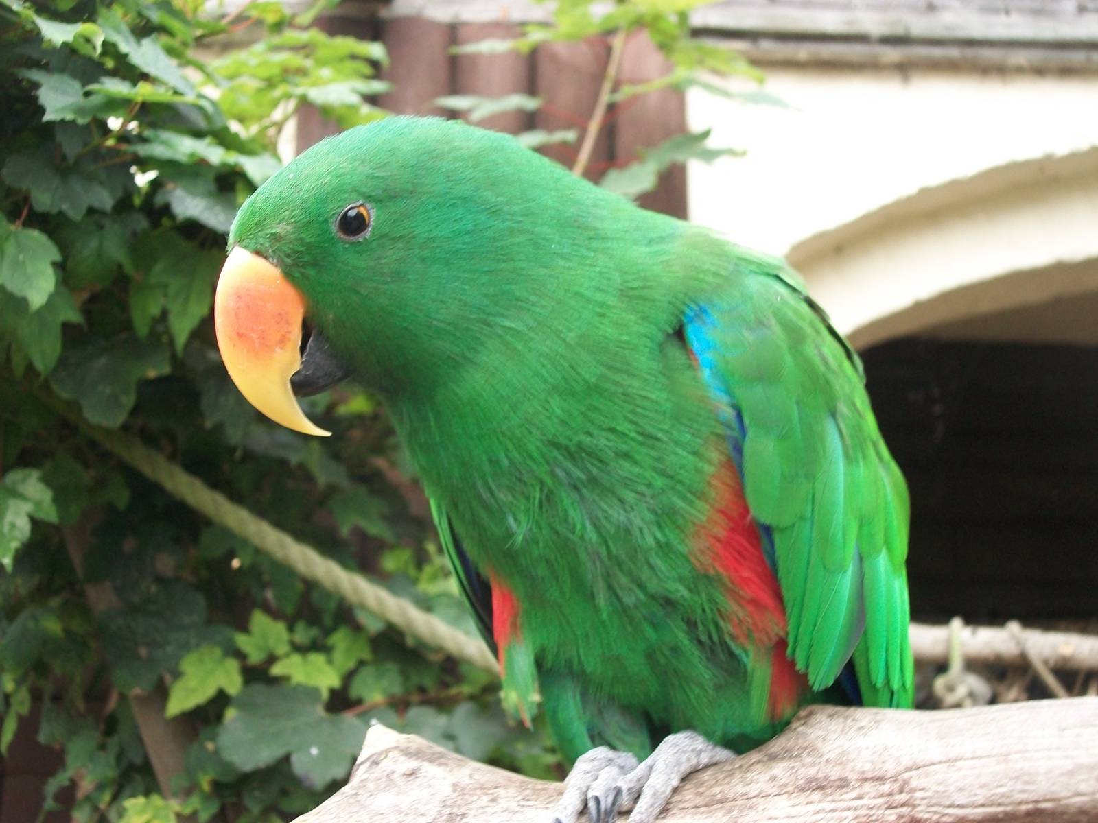 Eckie, 21st September 2014