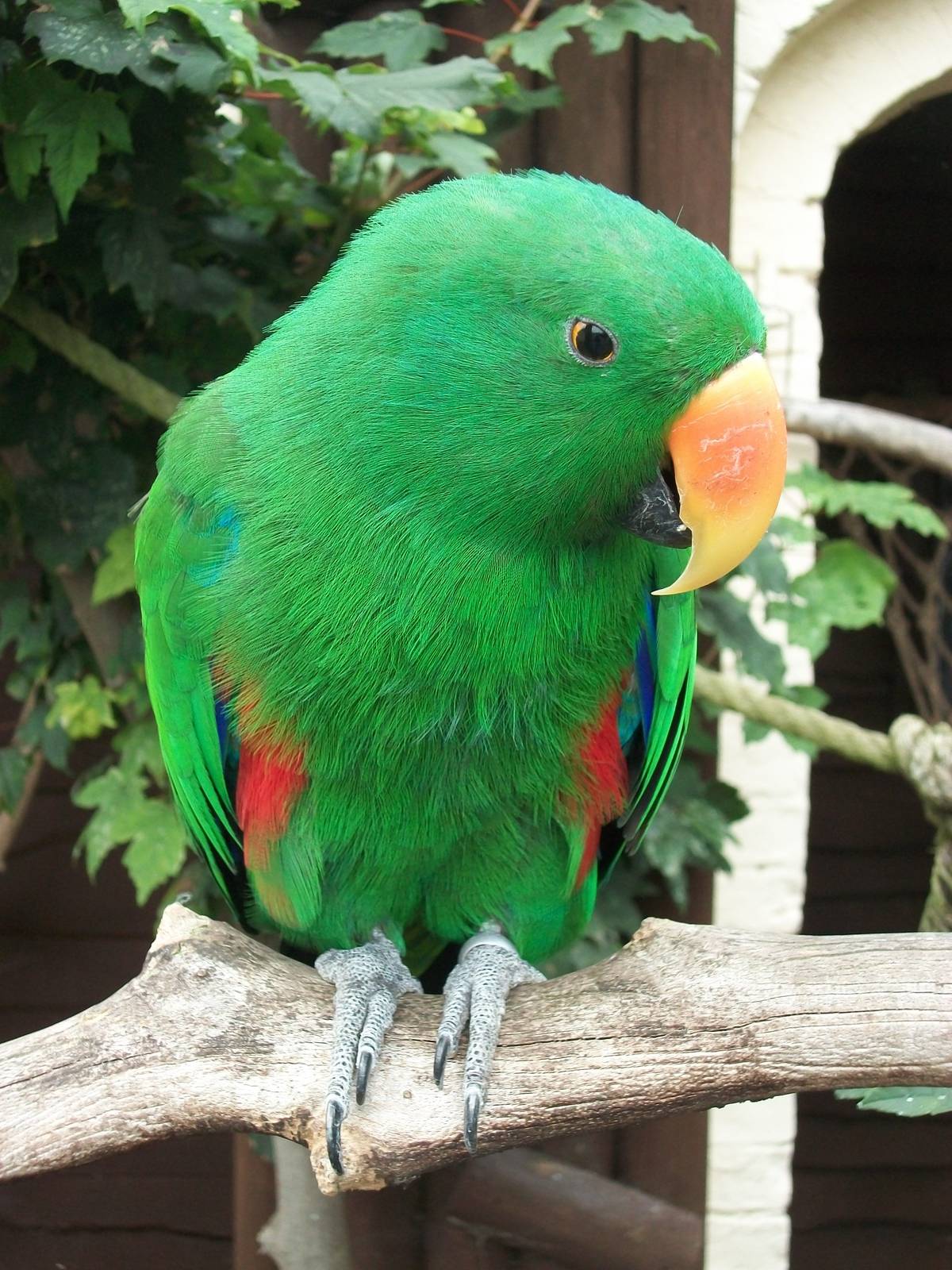 Eckie, 21st September 2014