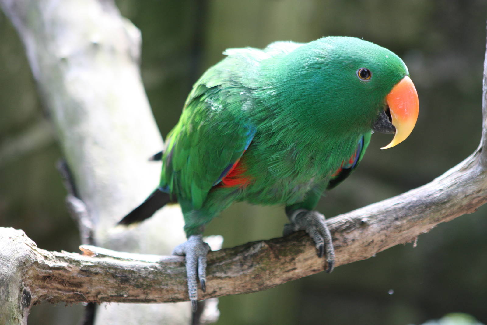 Eckie, 29th June 2014