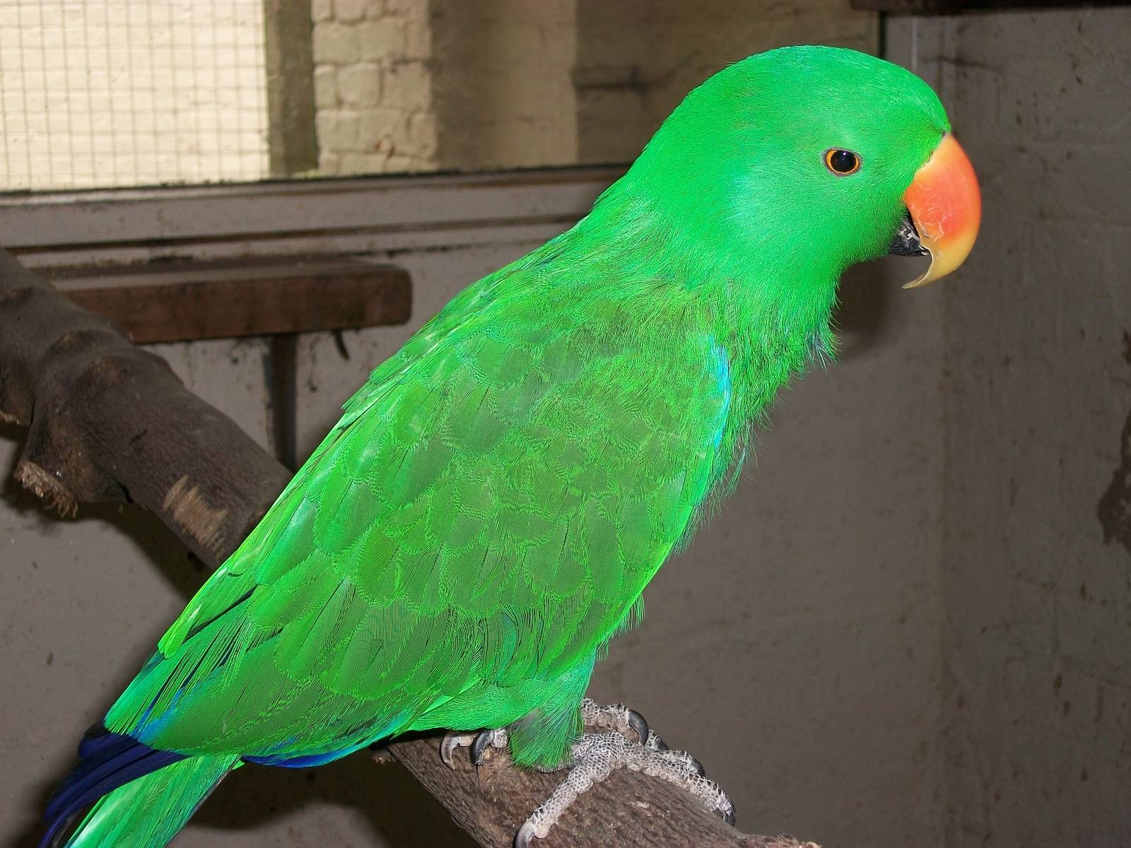 Eckie in his bedroom, 31st May 2014