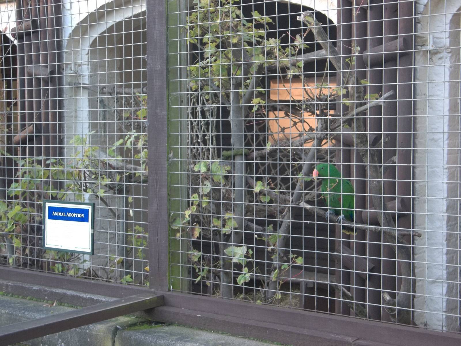 Eckie is back home, 10th November 2014