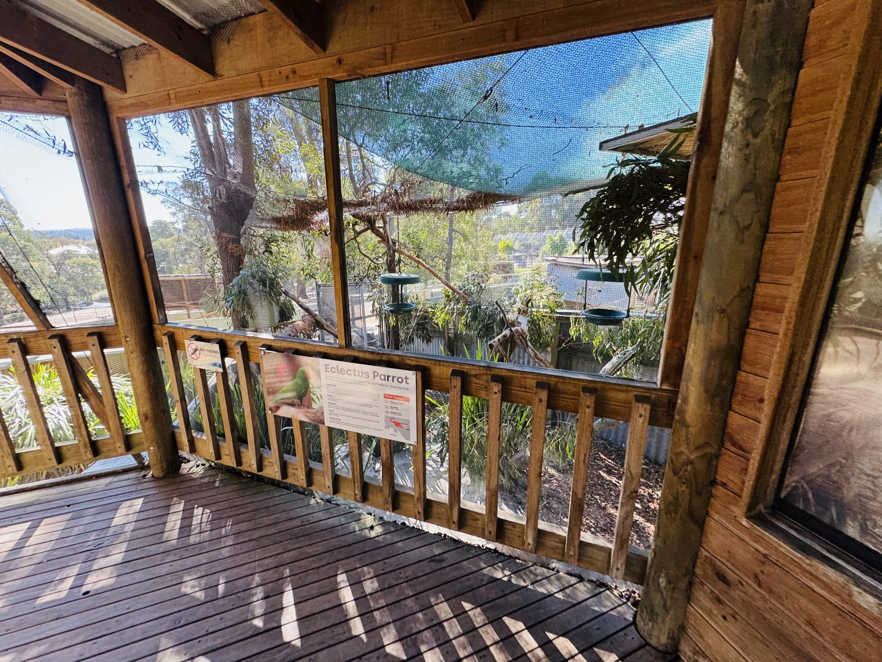 Eclectus parrot/Bush stone-curlew enclosure