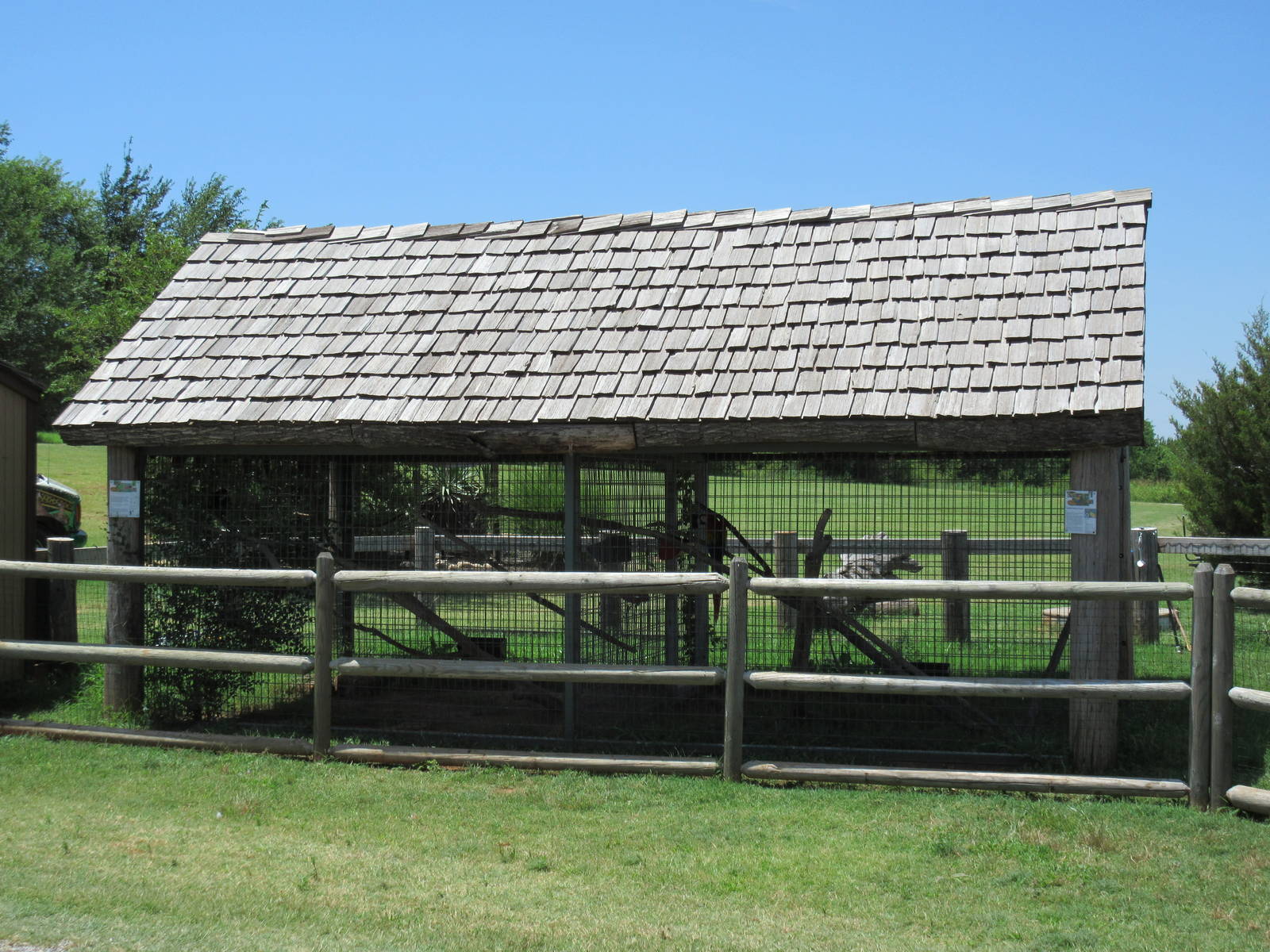 Eclectus Parrot + Scarlet Macaw Exhibits