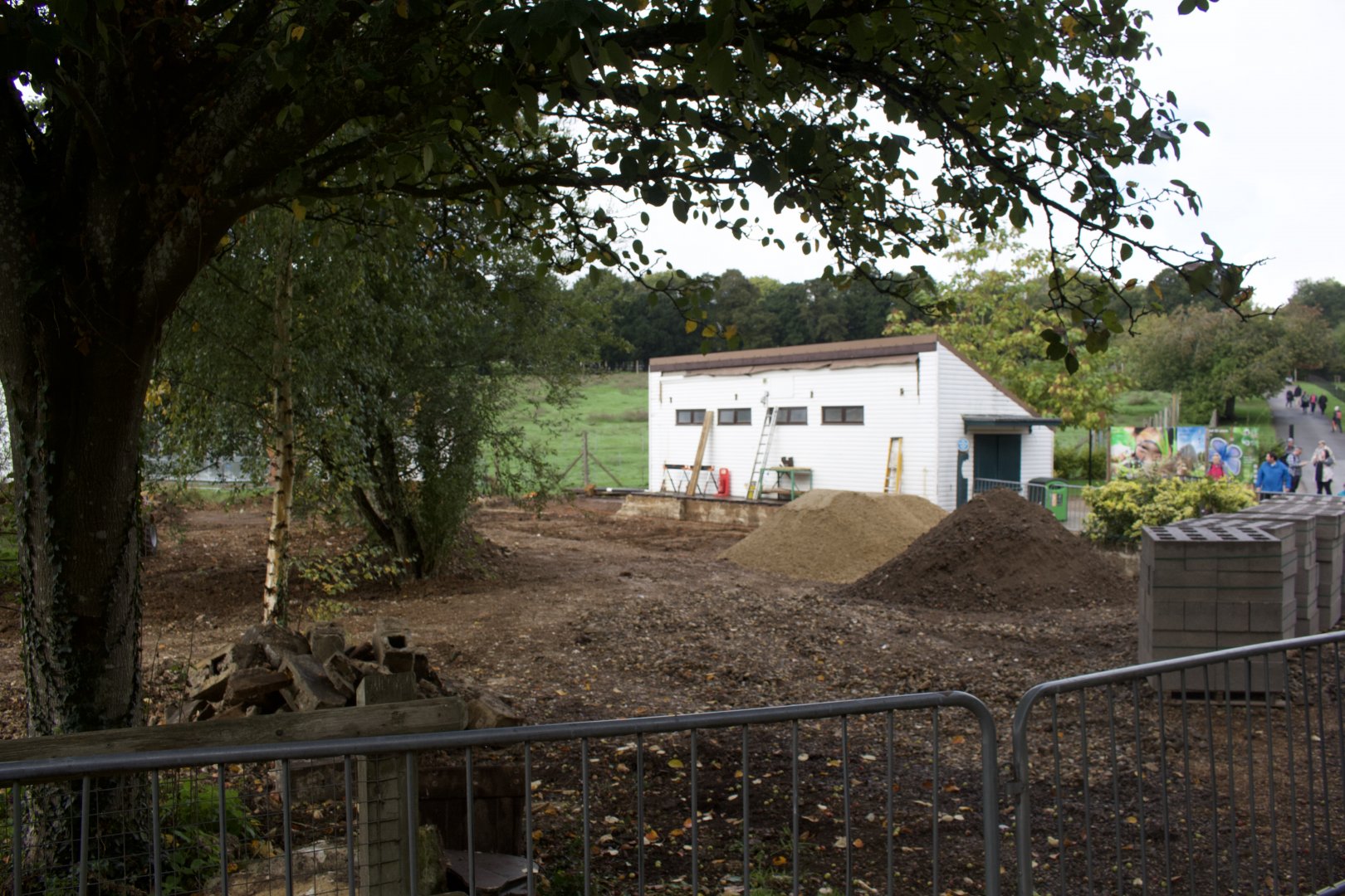 Eco Island Renovation 2