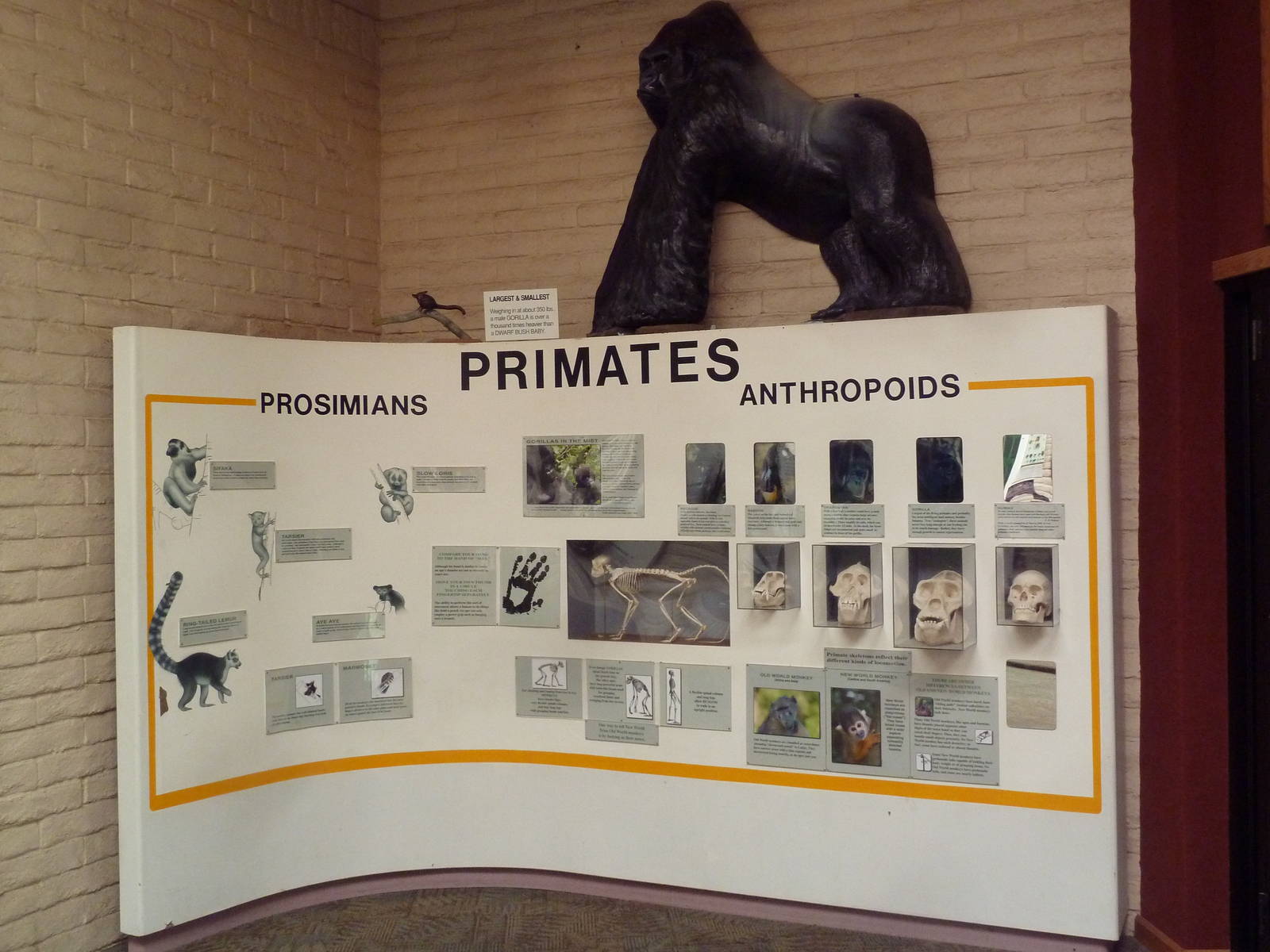 Ecocenter - Primates Sign