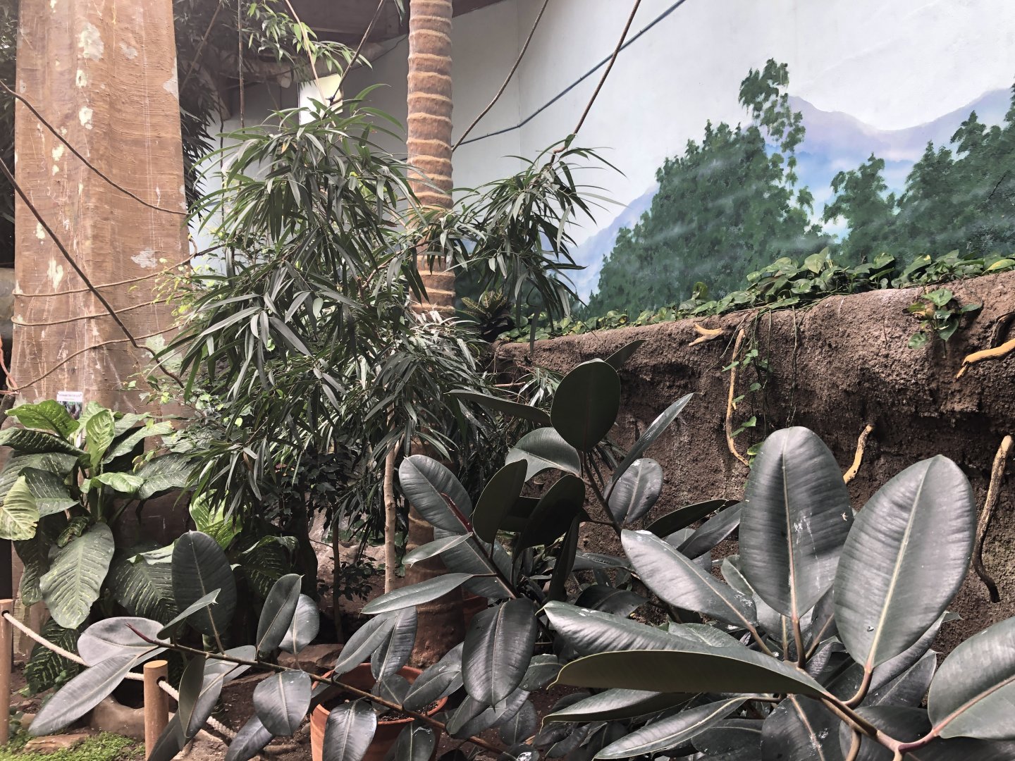 EcoCenter - Walkthrough Aviary