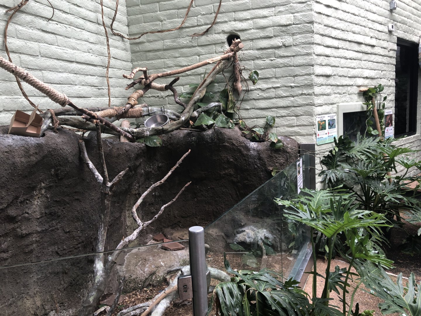 EcoCenter - Walkthrough Aviary