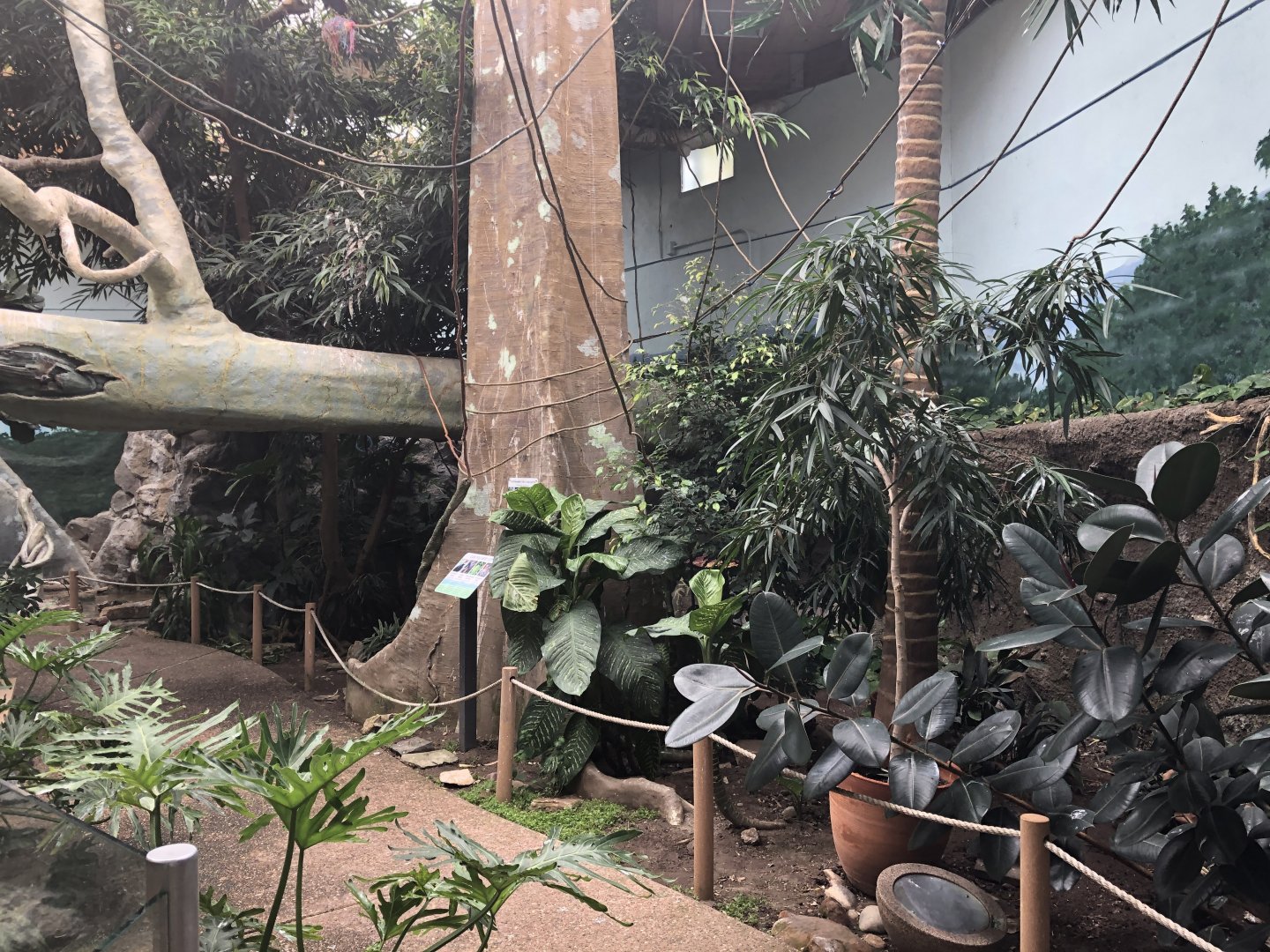 EcoCenter - Walkthrough Aviary