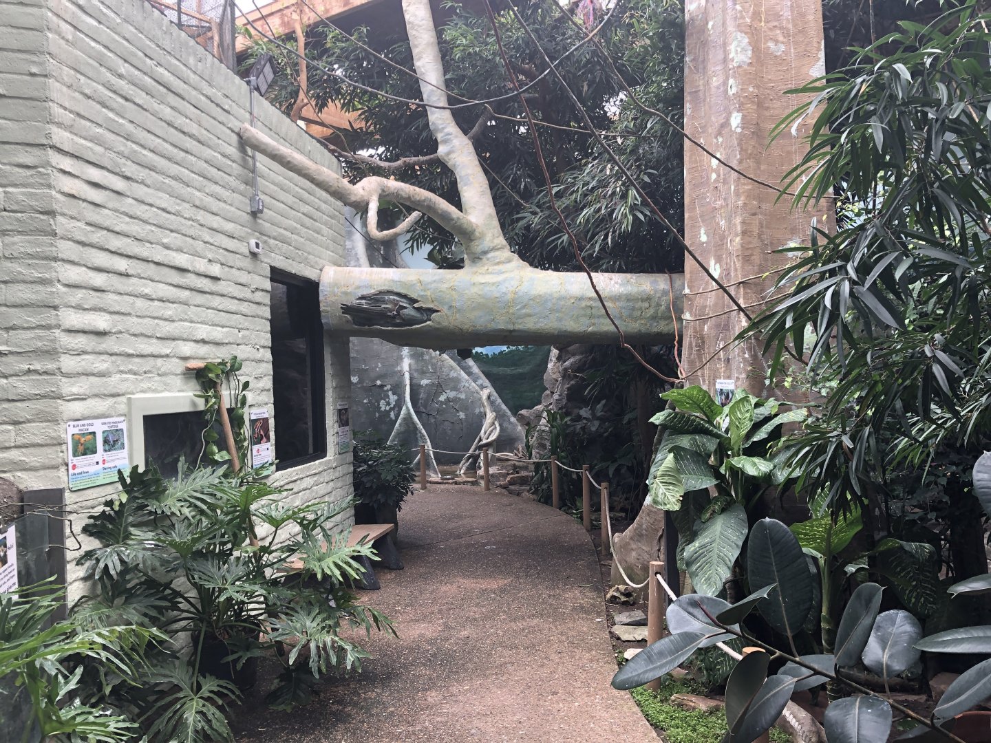 EcoCenter - Walkthrough Aviary