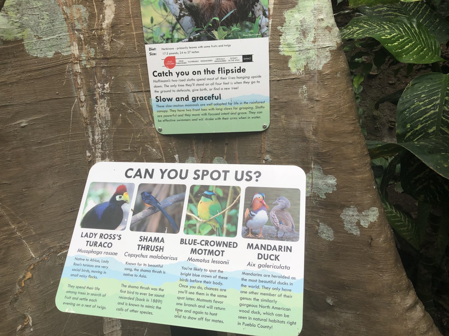 EcoCenter - Walkthrough Aviary