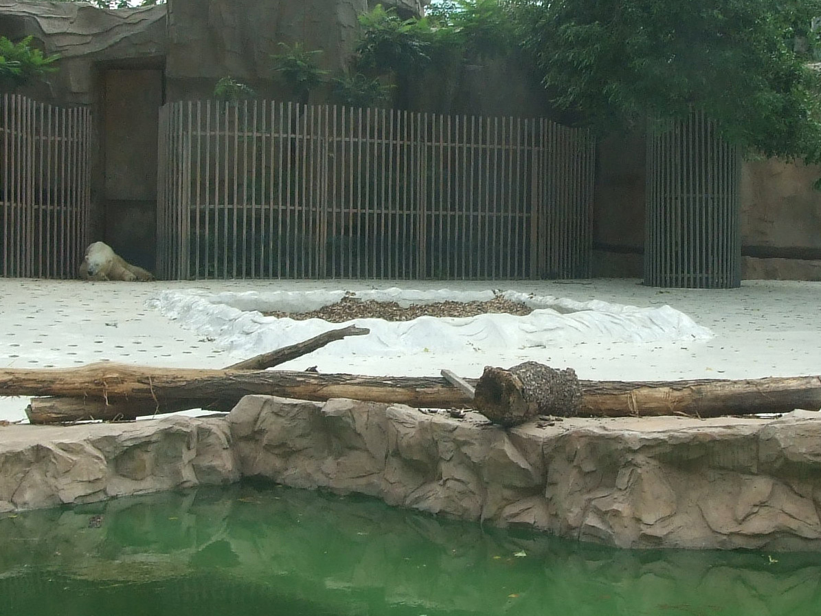 Ecological cushion layer for polar bear