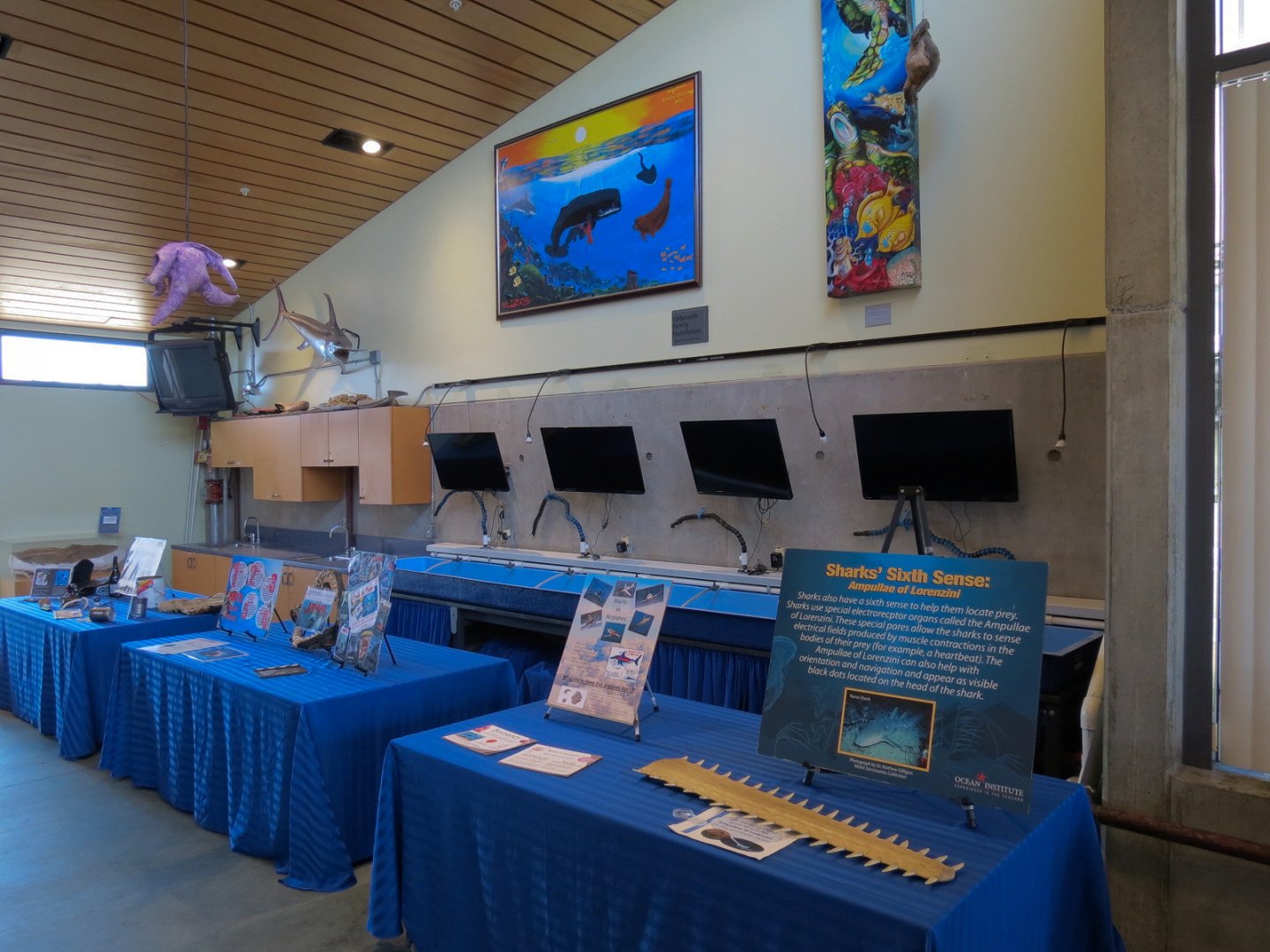 Ecology Building - Exhibits