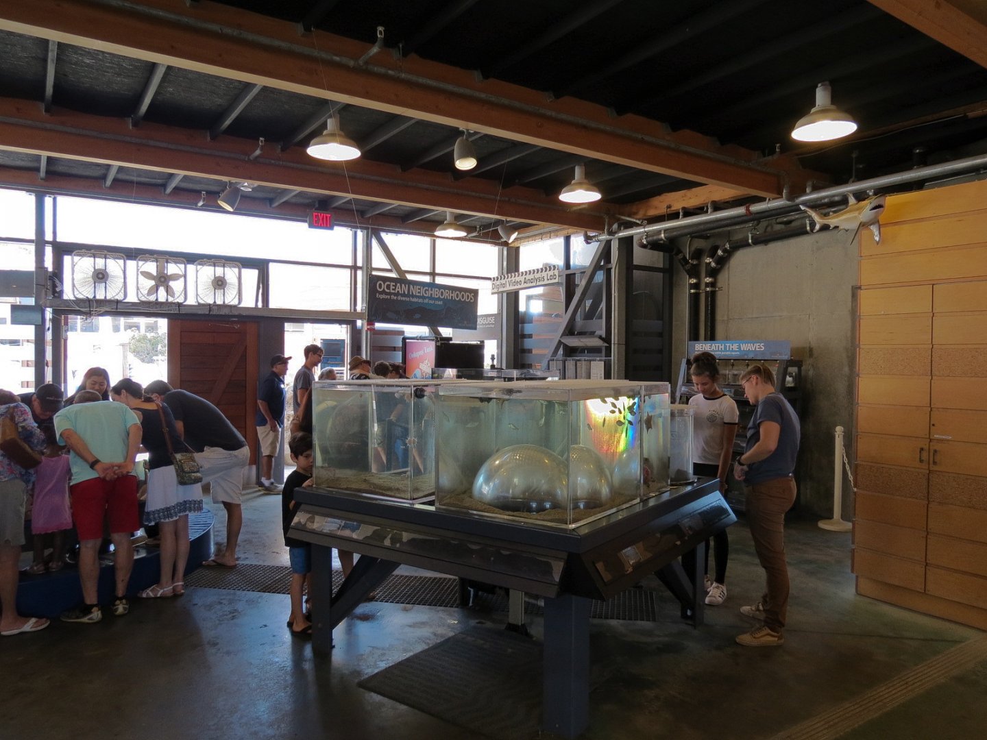 Ecology Building - Live Exhibits