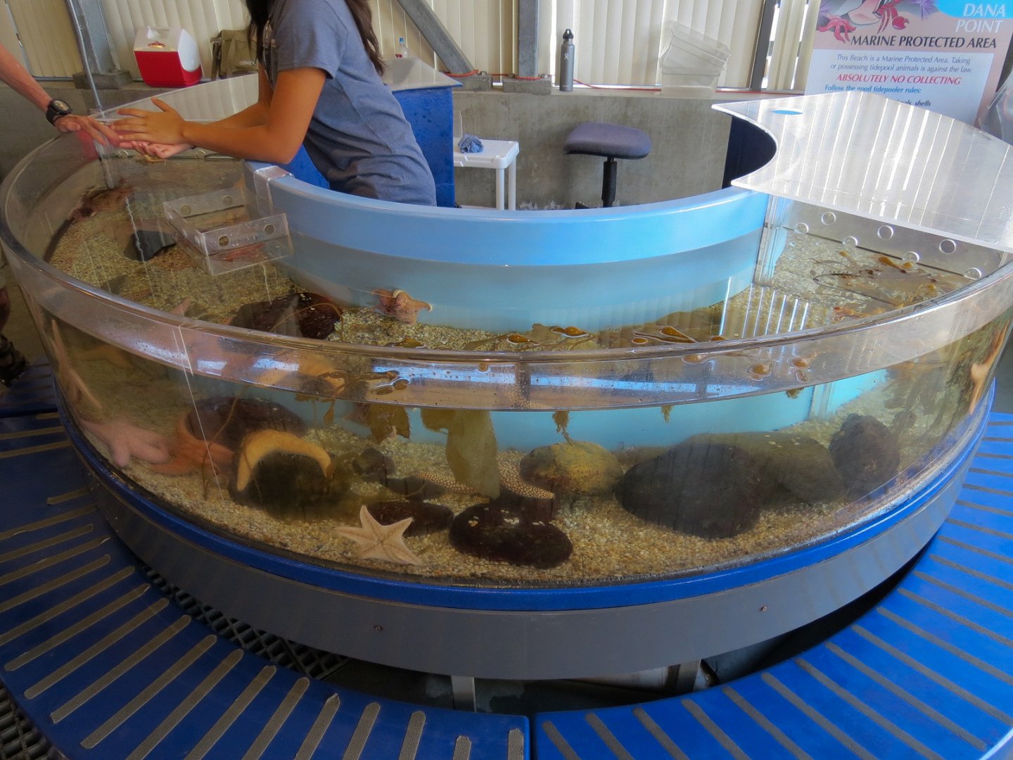 Ecology Building - Live Exhibits