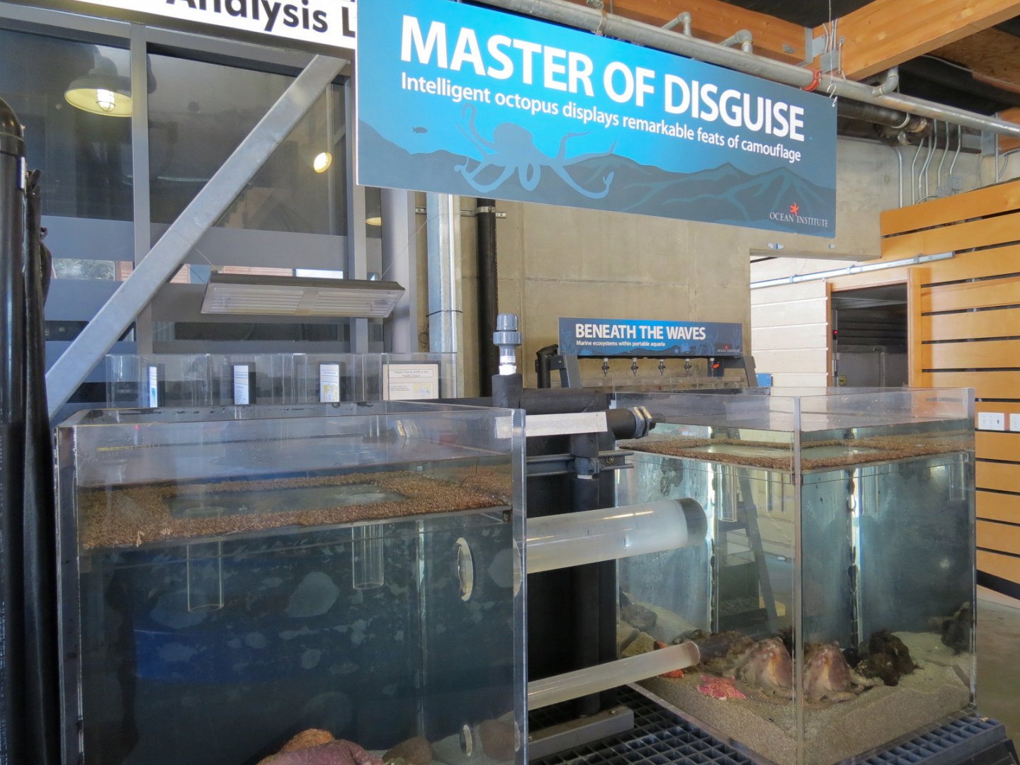 Ecology Building - Live Exhibits