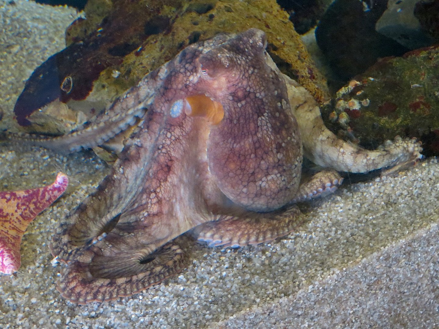 Ecology Building - Live Exhibits