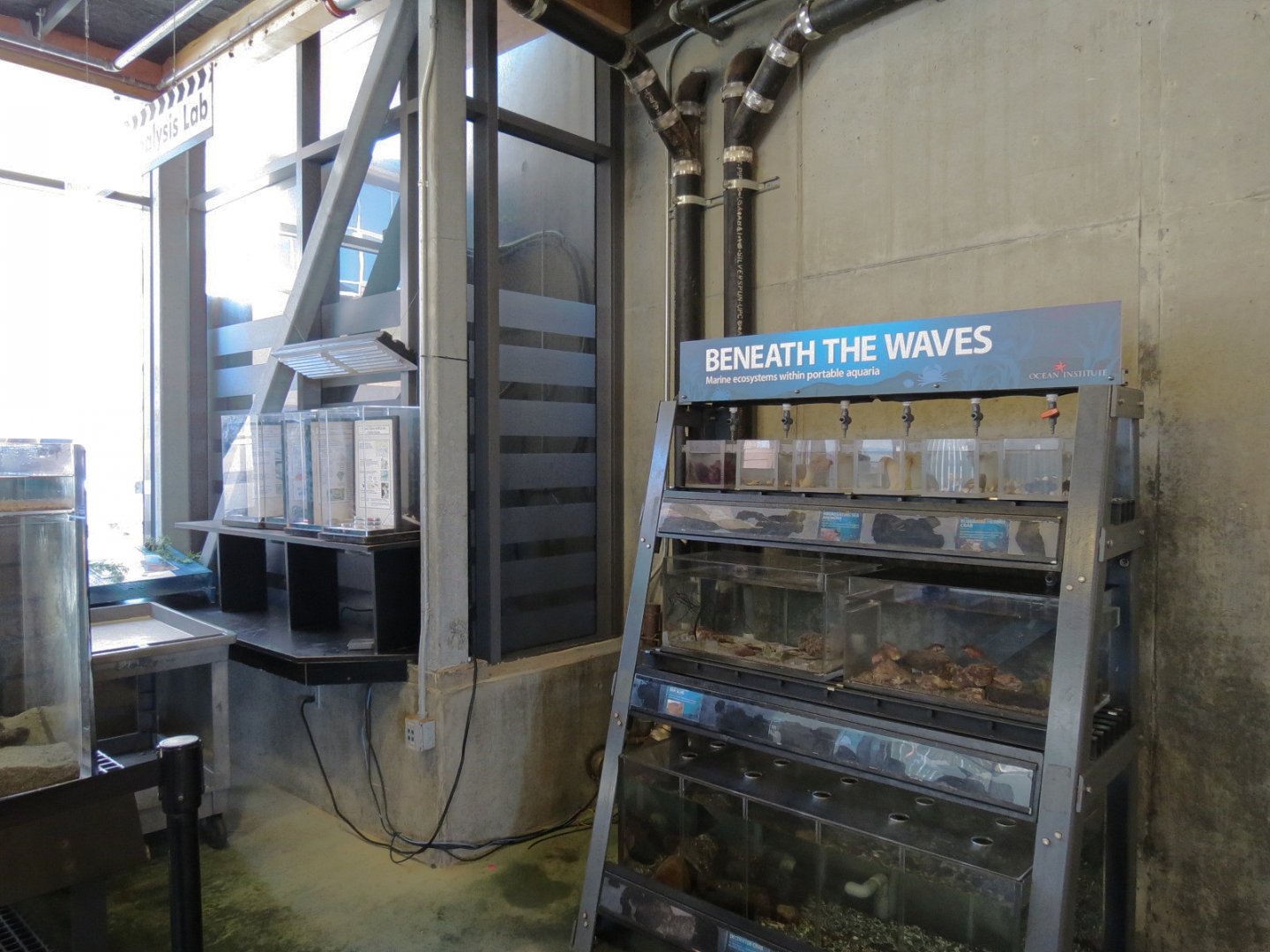 Ecology Building - Live Exhibits